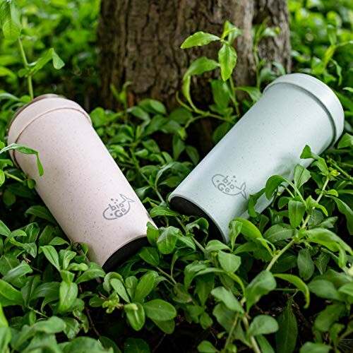 Biodegradable cups on green grass near a tree